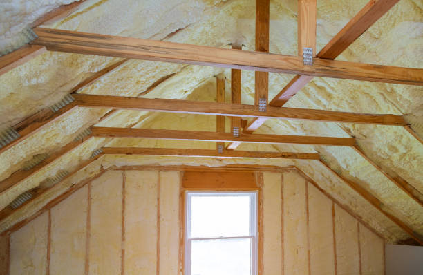 Best Insulation Contractor Near Me  in Longbranch, WA